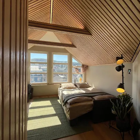 Modern Vaskerelven 12 *